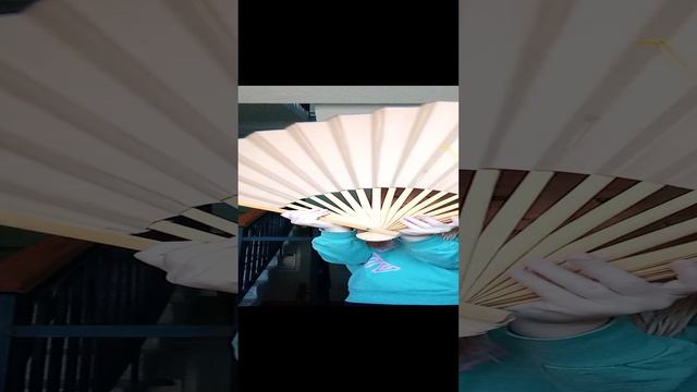 VID_20241019_125021.mp4