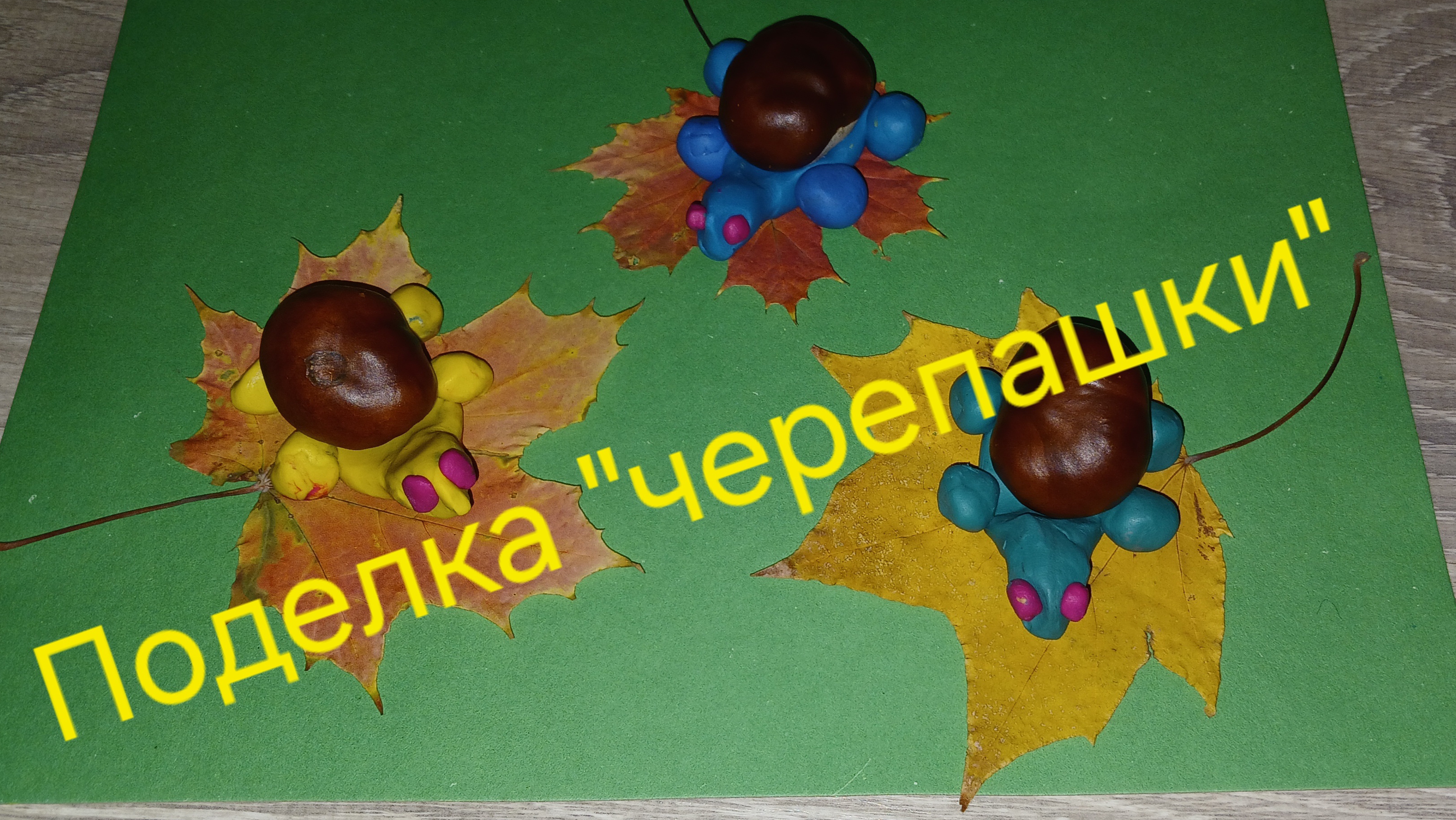 поделка "черепашки", осенняя