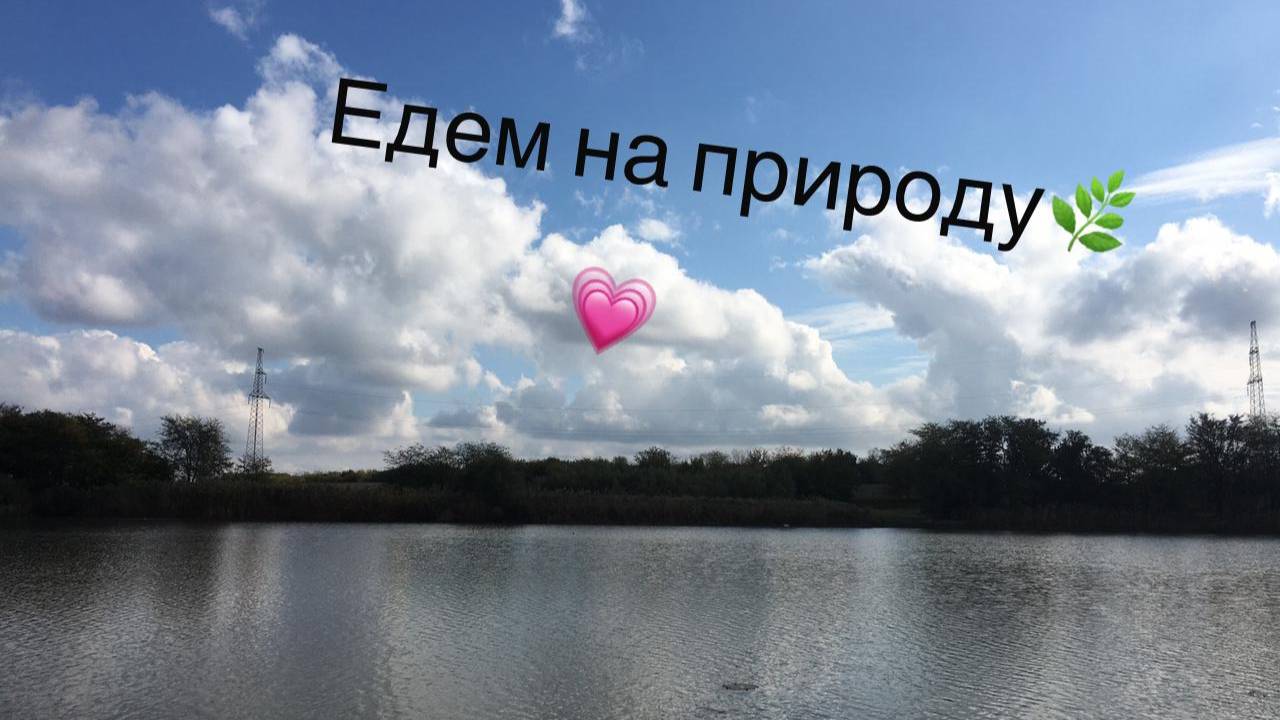 Едем на природу, гуляем.