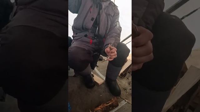 На паровозике за рыбой.