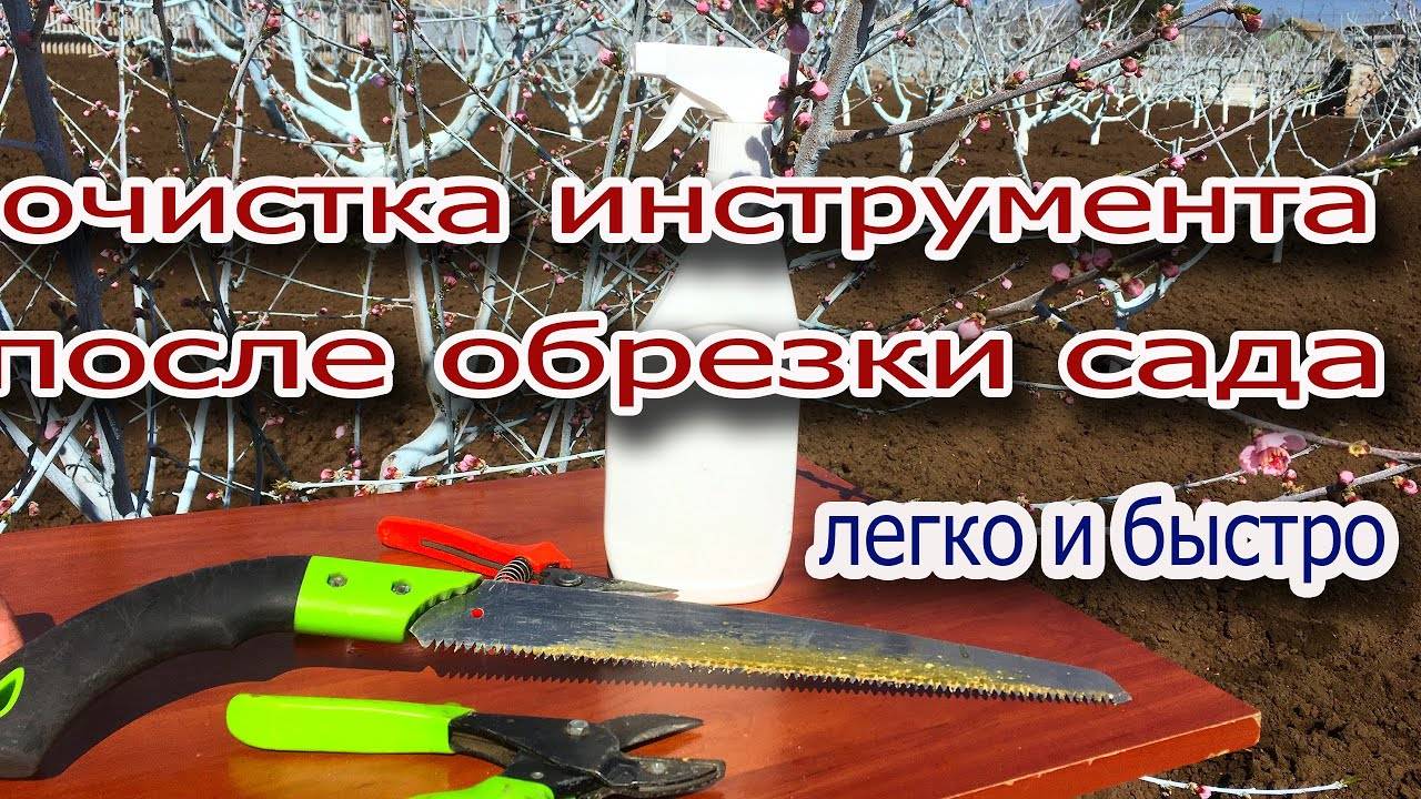 Удаляем смолянистый налет на садовых инструментах⧸легко и быстро