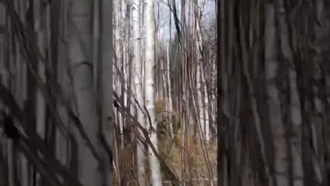 Grand Cherokee ZJ на 33х колесах #cherokee #grandcherokee #jeep #offroad #jeeplife #runva