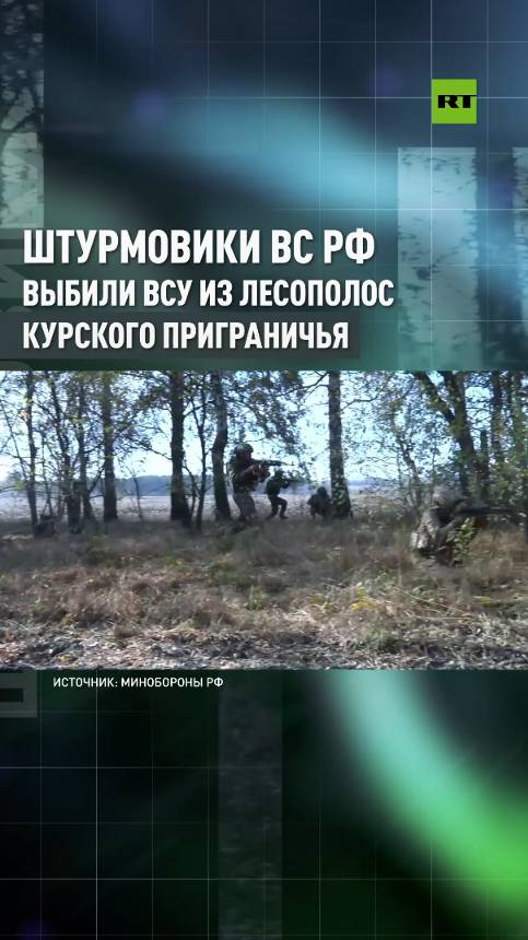 Выбили противника из лесополос: боевая работа штурмовых подразделений Морской пехоты ВС РФ