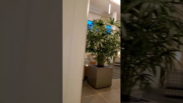 Hospital Vlog Mash-Up | Discharged! | Houston Methodist West Renovated Area | Finding My Fur Babies