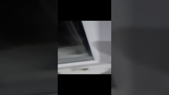 люблю багиру продолжение
