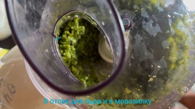 Заготовка сельдерея на зиму