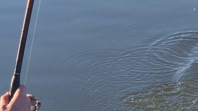 1000068589.mp4