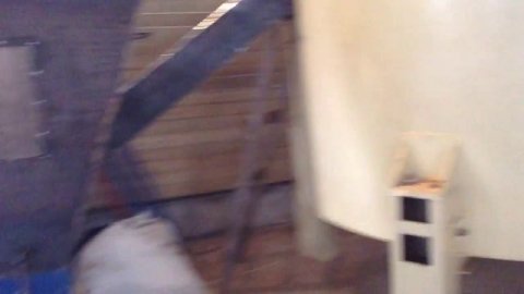 Для Заура Владимировича