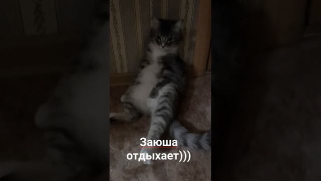 Заюша отдыхает)))