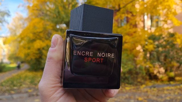 Питерская осень &  * Lalique

Encre Noire Sport *