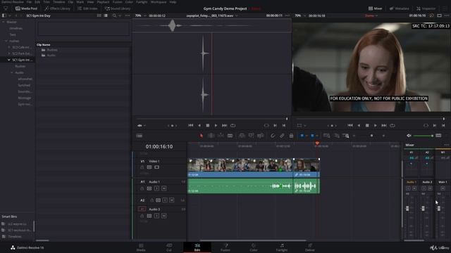 50 Monitoring Audio in the Edit Panel