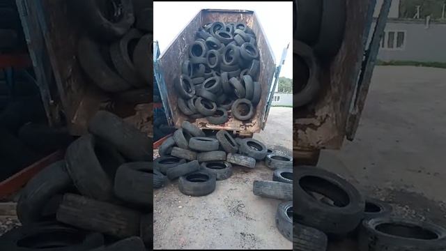 utilizaciya shin.mp4