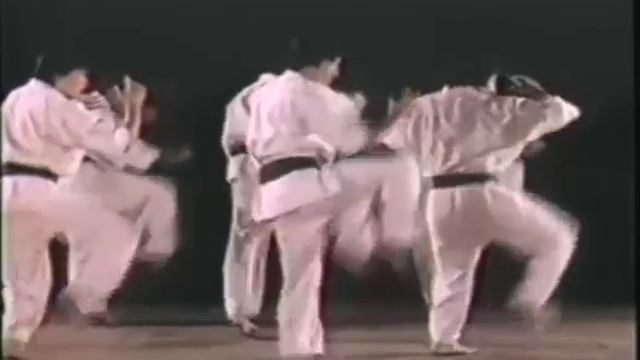 World Oyama Karate