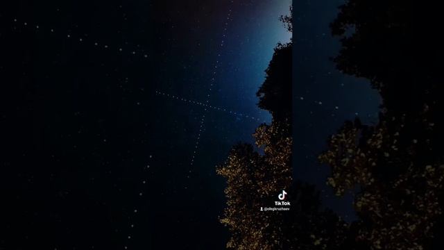 starlink
