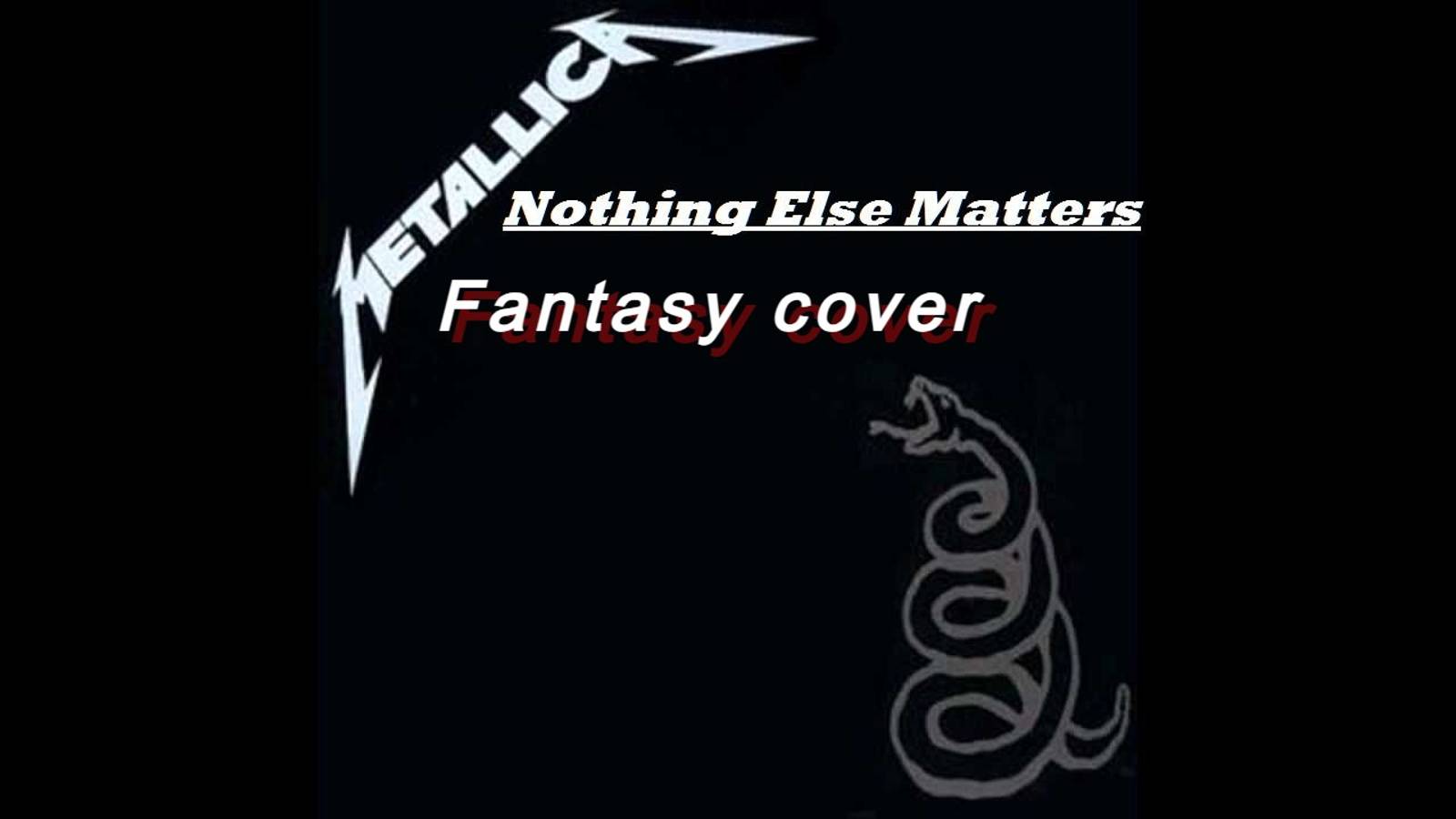 Небольшой кавер на песню Nothing Else Matters  Metallica