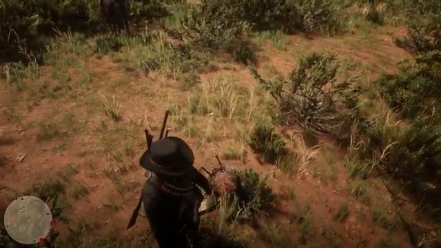 Red Dead Redemption 2_ Риограндская Дикая Индейка. (Red Dead Redemption 2 Rio Grande Wild Turkey)