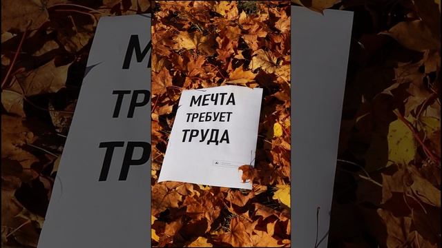 Мечта требует труда