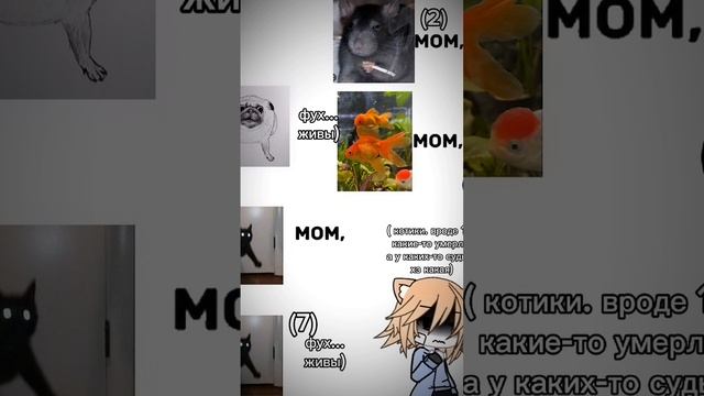 рил... только не хватает морзкой свинки...(   ( я забыла про неё)