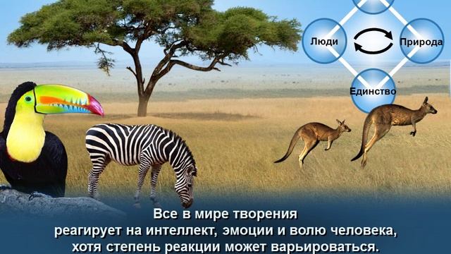 Божественный Принцип - 41. Власть сатаны