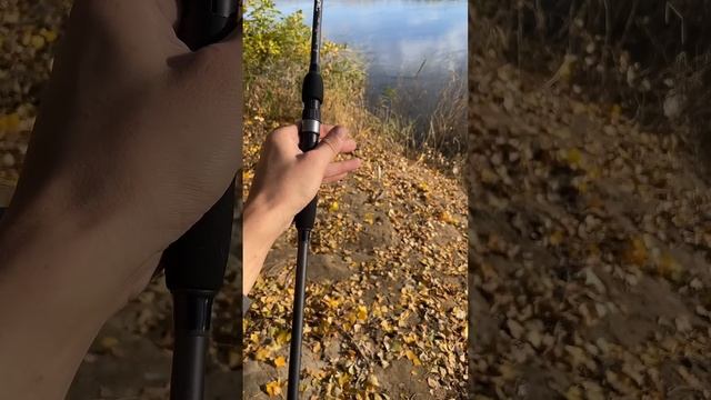 Блесна бомба, честно говоря #рыбалка #fishing #спиннинг #спиннинговаяловля #спиннингдлямормышинга