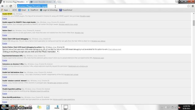 enable npapi in Chrome