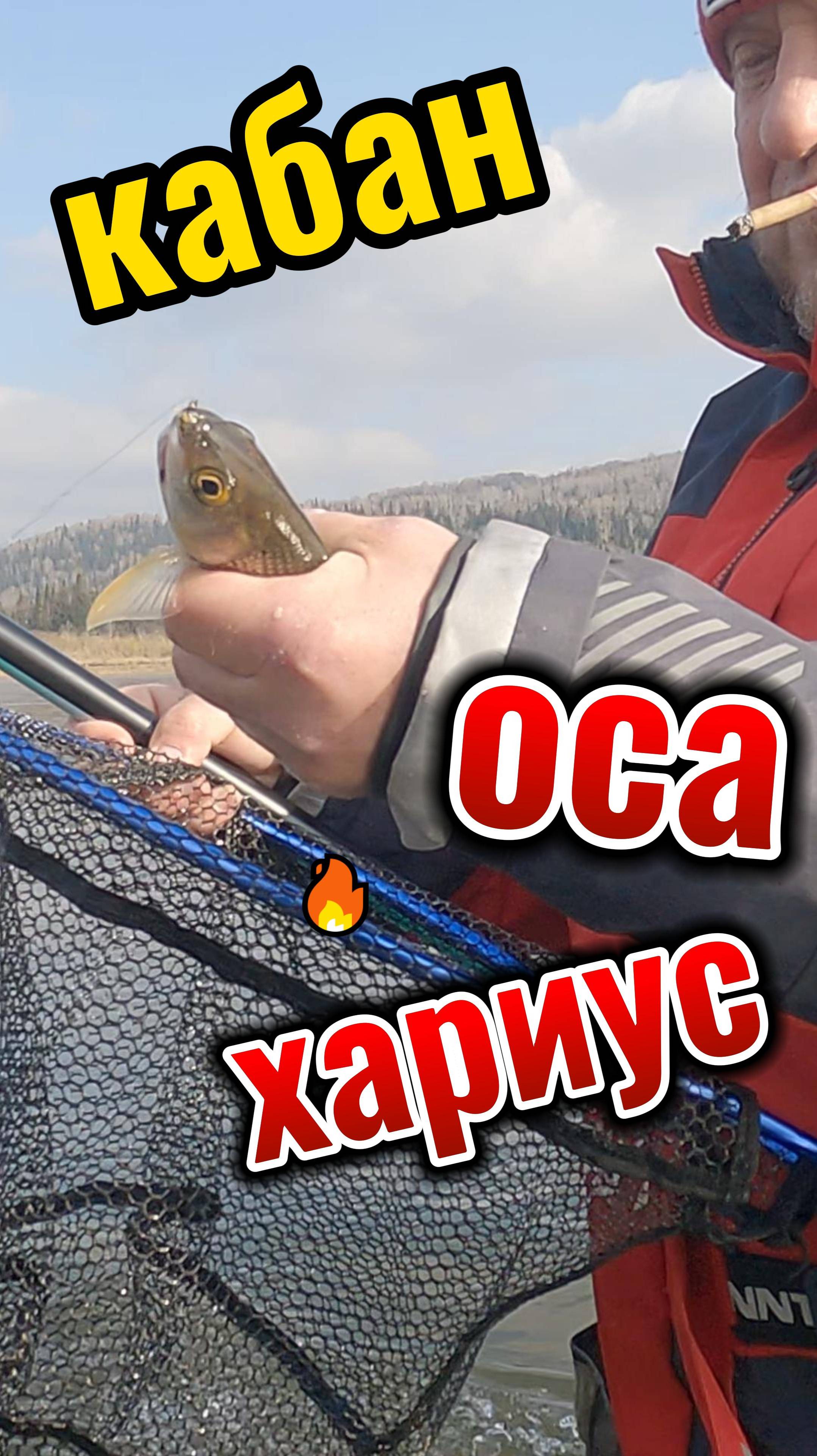 ОТЛИЧНАЯ РЫБАЛКА НА ХАРИУСА ОСЕНЬ 2024