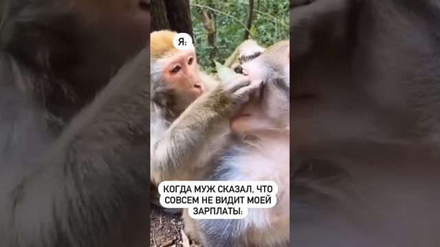 Зрение уже подводит😜🤣