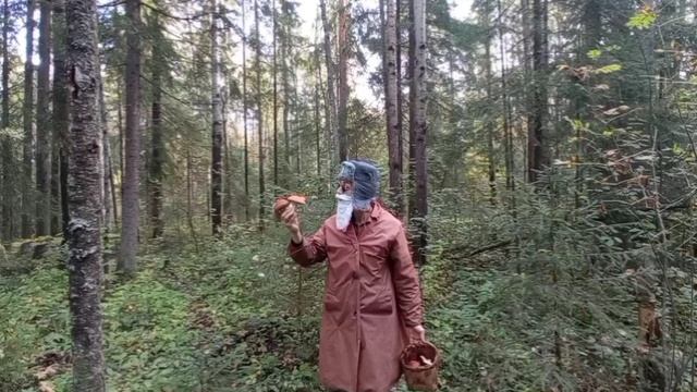 по грибы,по ягоды