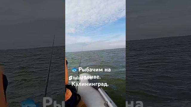 Калининградская обл ❤❤❤