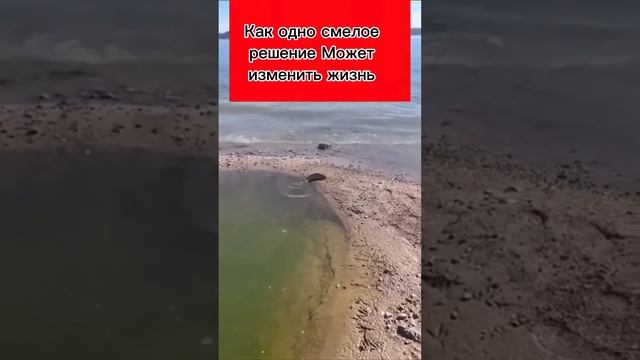 #рыбалка #ловлярыбы #рыболовство #спиннинг