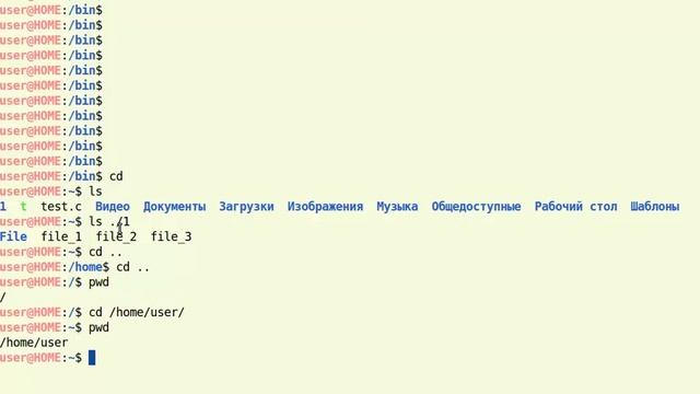 2 pwd,cd Урок SHELL BASH