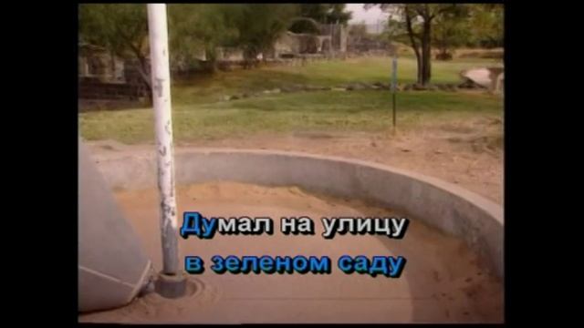 Выйду на улицу, караоке