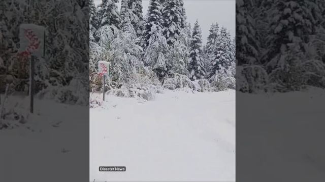 Сильный снегопад в Инеболу  в провинции Кастамону, Турция