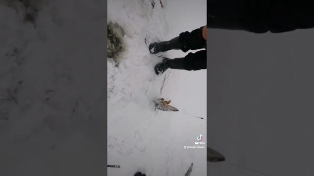 добыча