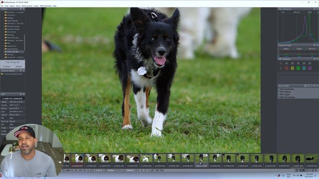 FILE RAW VIEWER Vizualizador de arquivos RAW instantâneo, Portugues GRATIS COMIGO Luminar Neo 2023