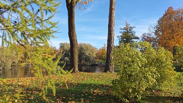 Гатчинский парк осень