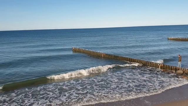 🌊ЗЕЛЕНОГРАДСК 🌊 ВОДА 14°, ПРОДОЛЖАЕМ ЗАКАЛИВАНИЕ❗ ПОСЛЕДНИЕ ДЕНЕЧКИ В САНАТОРИИ