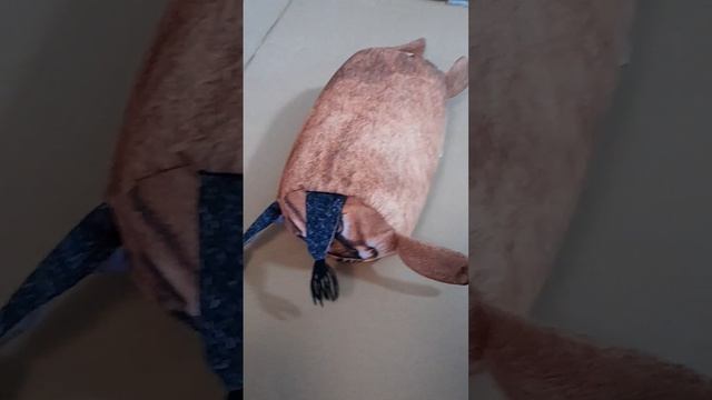 шлёпа захватывает мир часть 1