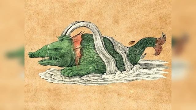 Средневековые рукописи рассказывают необычную историю китов