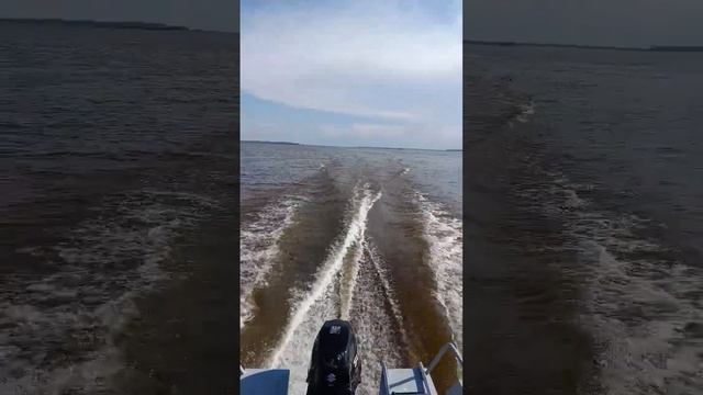 На Оби. Вятбот 390DCM.