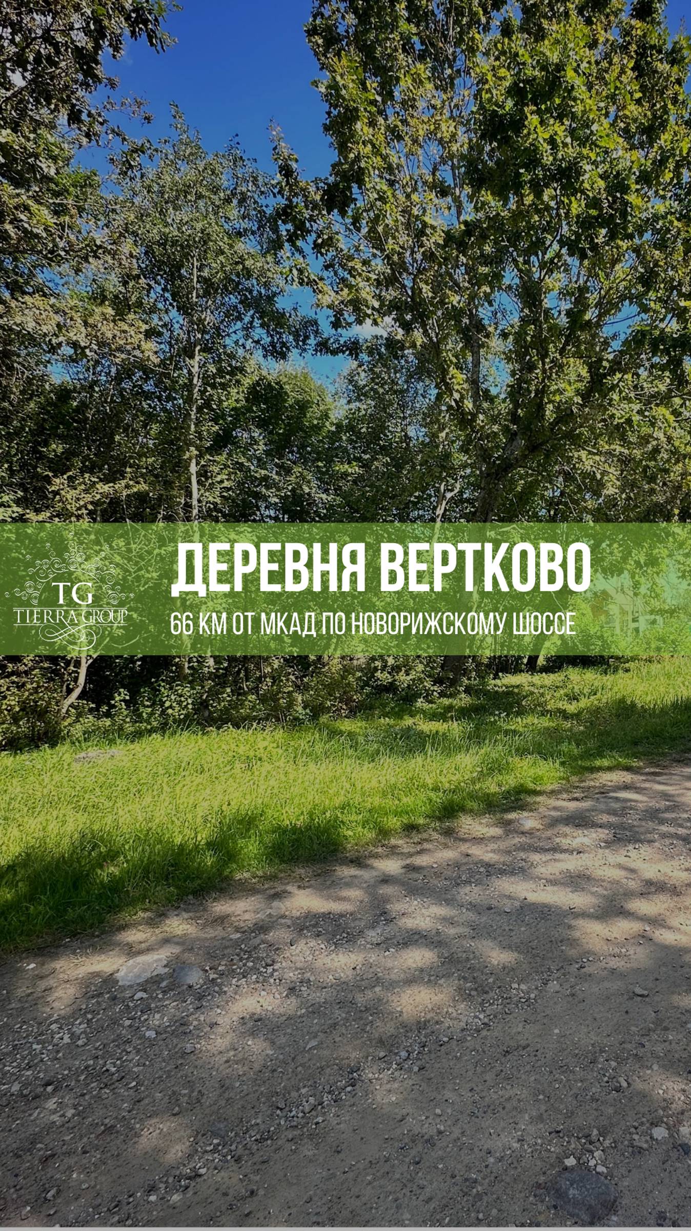 🌟 На днях посетили участки в Вертково, что всего в 66 км от МКАД по Новорижскому шоссе