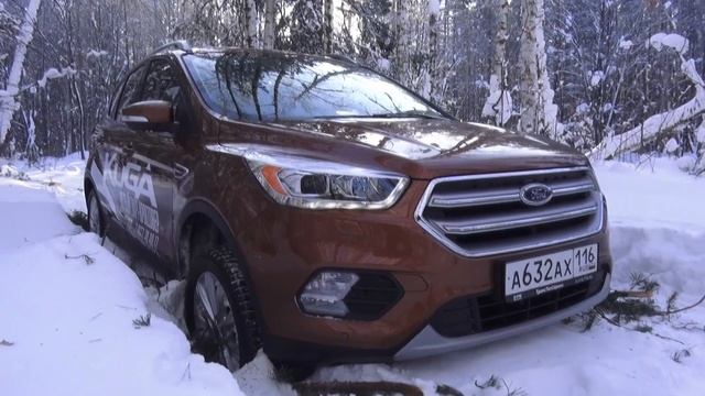 2017 Ford Kuga 1.5 EcoBoost AWD Titanium Plus Тест-Драйв