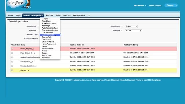 A companion to Salesforce developer guide - Application Lifecycle Management solution - Flosum