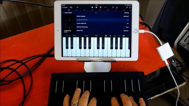 How To Set Up GarageBand for FULL Roli Seaboard MPE Midi Control - iPad Demo