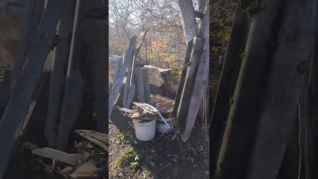 Осенняя уборка листьев, в моем любимом саду).
Помогу и Вам построить дом Вашей мечты
8-904-800-4812