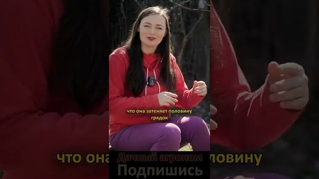 Сад С НУЛЯ! Так НИКТО не делает!