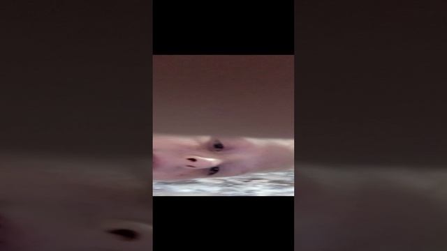 1000000000