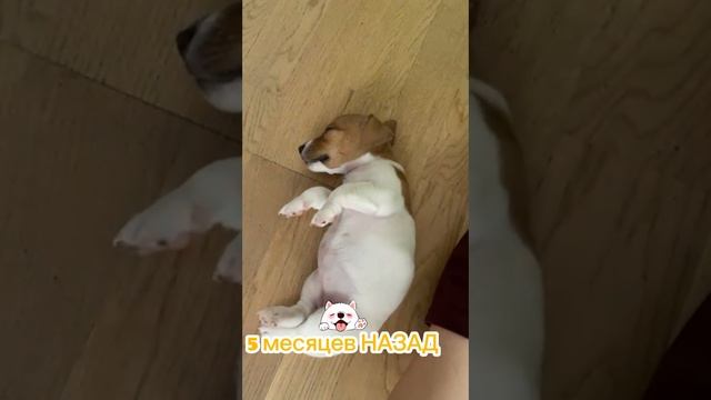КАК ВЫРОСЛА ❤️❤️❤️