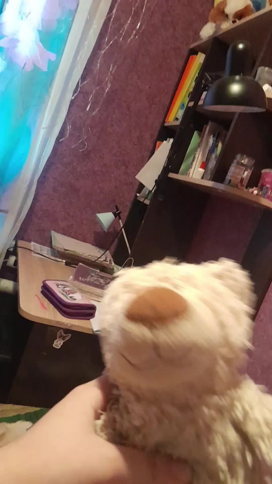 деревня