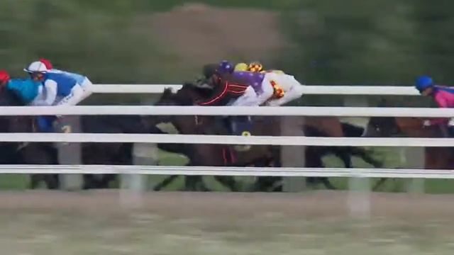 2018.06.18 Svenskt 1000 Guineas (formerly Dianalöpning) - Queen Estoril